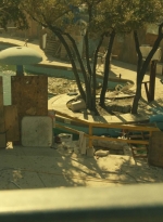 ftwd404_0811.jpg