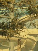ftwd404_0829.jpg