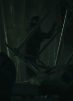 ftwd406_1584.jpg