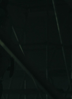 ftwd406_1643.jpg