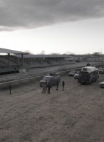 ftwd406_2413.jpg