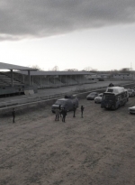 ftwd406_2415.jpg