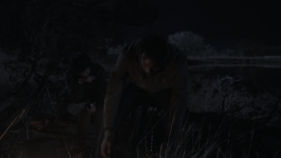 ftwd408_2563.jpg