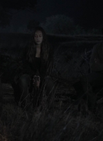 ftwd408_2006.jpg