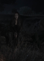 ftwd408_2008.jpg