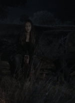 ftwd408_2010.jpg
