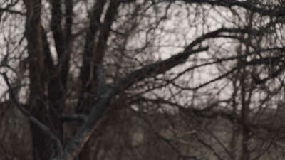ftwd409_1306.jpg