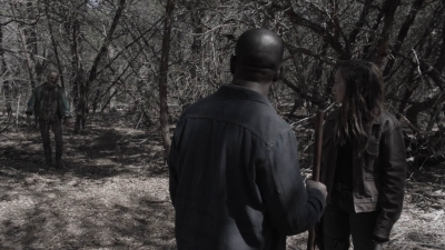 ftwd409_1399.jpg