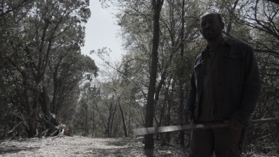 ftwd409_1414.jpg