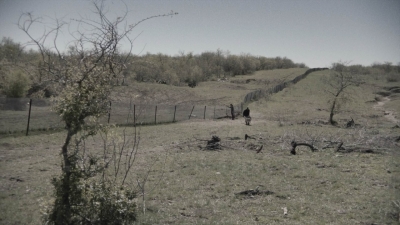 ftwd409_1482.jpg