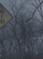 ftwd409_0005.jpg