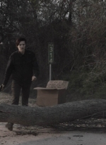 ftwd409_1225.jpg