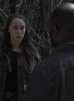 ftwd409_1389.jpg