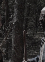 ftwd409_1396.jpg