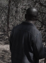 ftwd409_1399.jpg