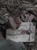 ftwd409_1405.jpg