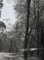 ftwd409_1414.jpg