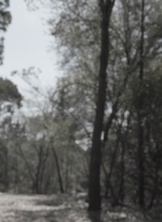 ftwd409_1415.jpg