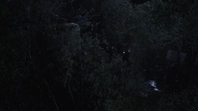 ftwd410_2046.jpg