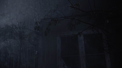 ftwd410_2087.jpg