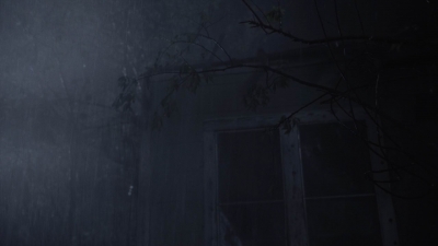 ftwd410_2088.jpg