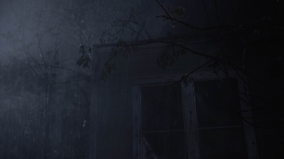 ftwd410_2090.jpg