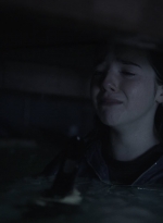 ftwd410_1995.jpg
