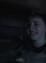 ftwd410_1996.jpg
