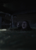 ftwd410_2032.jpg