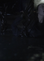 ftwd410_2038.jpg