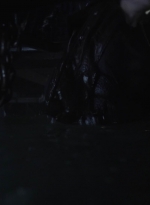 ftwd410_2039.jpg