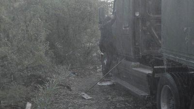ftwd411_0024.jpg