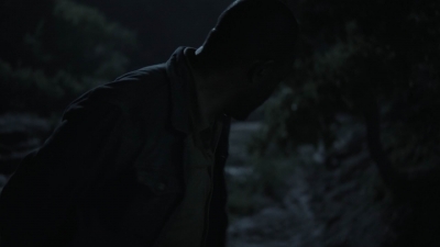 ftwd411_2100.jpg