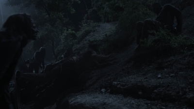 ftwd411_2112.jpg