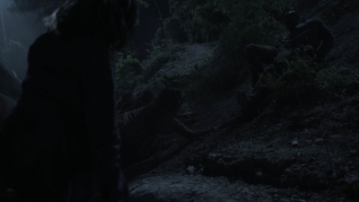 ftwd411_2113.jpg