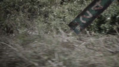 ftwd411_2176.jpg
