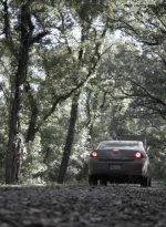 ftwd411_1279.jpg