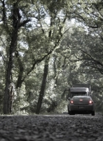 ftwd411_1282.jpg