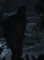 ftwd411_2103.jpg