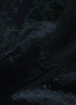 ftwd411_2111.jpg