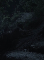ftwd411_2112.jpg