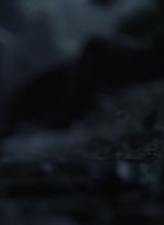 ftwd411_2134.jpg