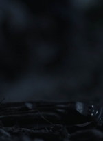 ftwd411_2135.jpg