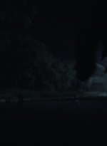 ftwd411_2150.jpg