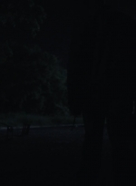 ftwd411_2151.jpg