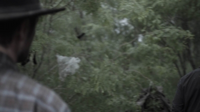ftwd413_1502.jpg
