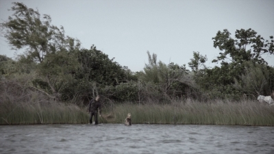 ftwd413_2117.jpg