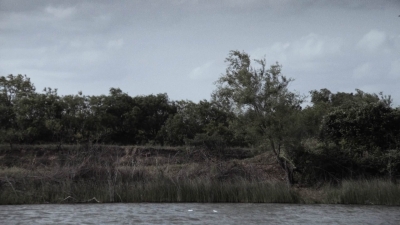 ftwd413_2420.jpg