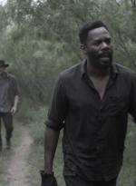 ftwd413_1476.jpg