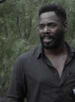 ftwd413_1490.jpg